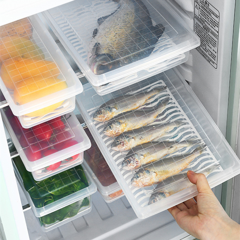 Penyimpanan kulkas untuk dagin - Food Storage Frozen ulasan dan harga