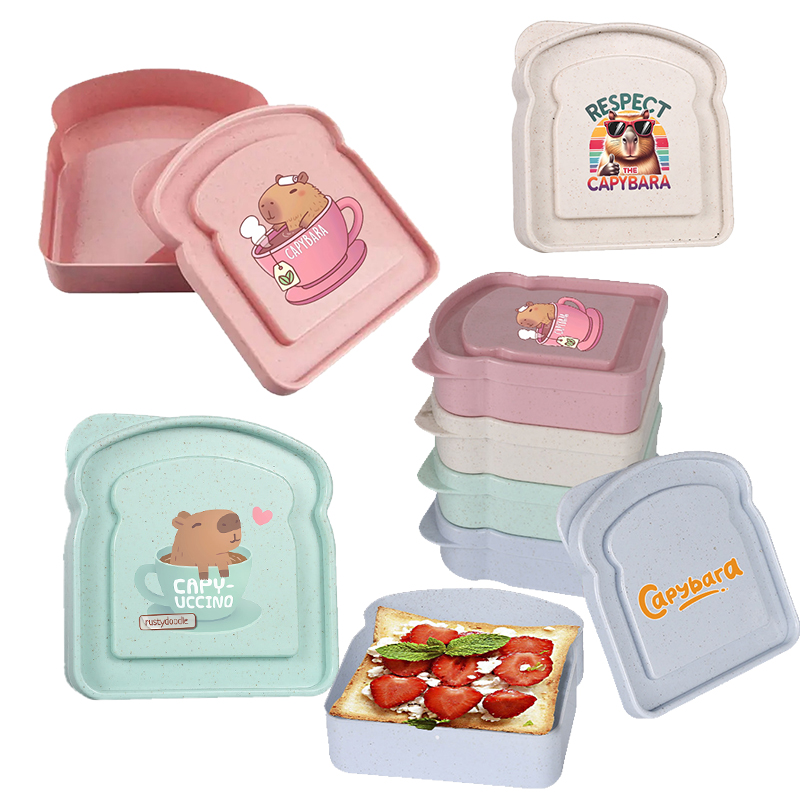 Kotak Penyimpanan Makanan Sand - Food Storage Boxes With Lids ulasan dan harga