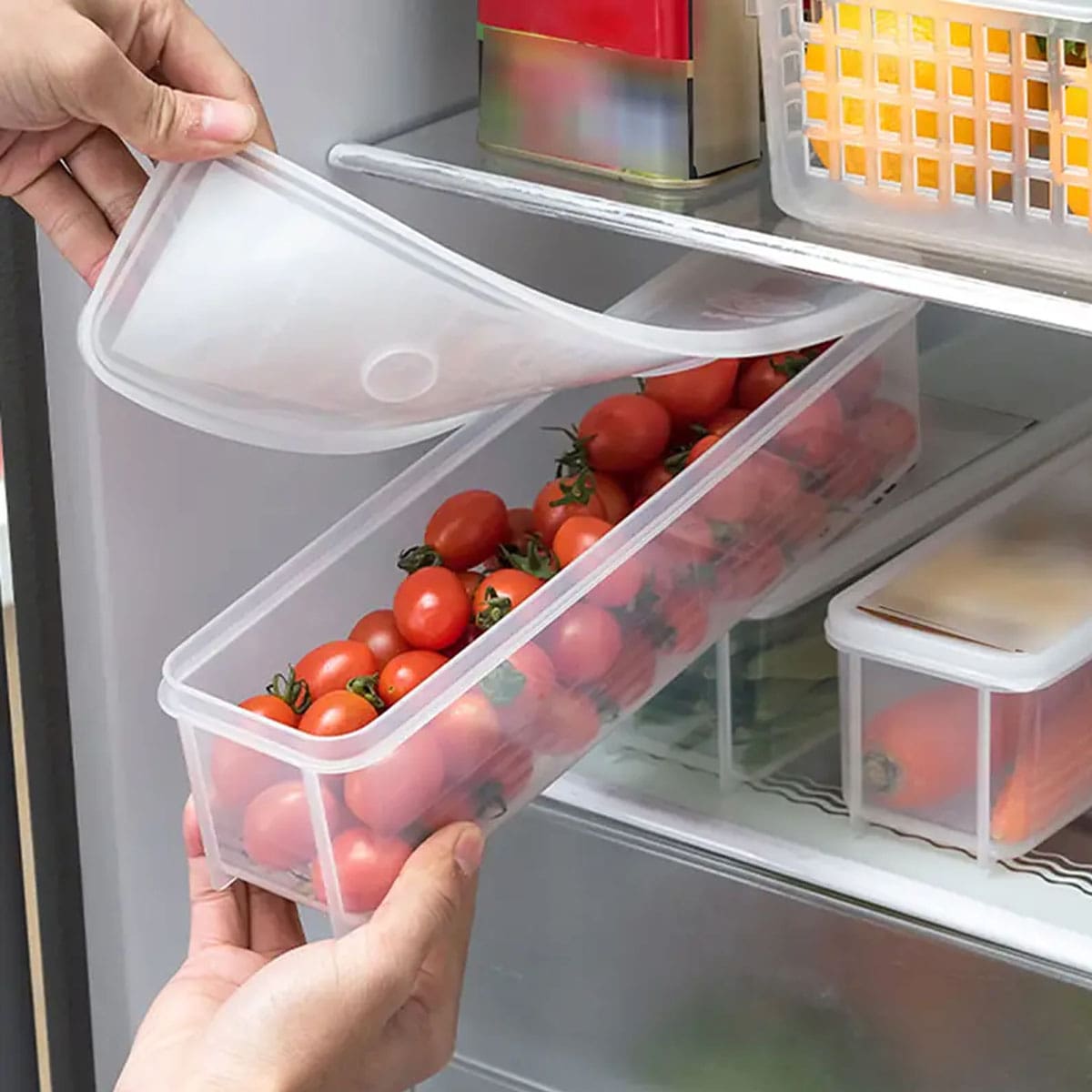 1 Kotak Penyimpanan Plastik Tr - Food Storage Boxes With Lids ulasan dan harga
