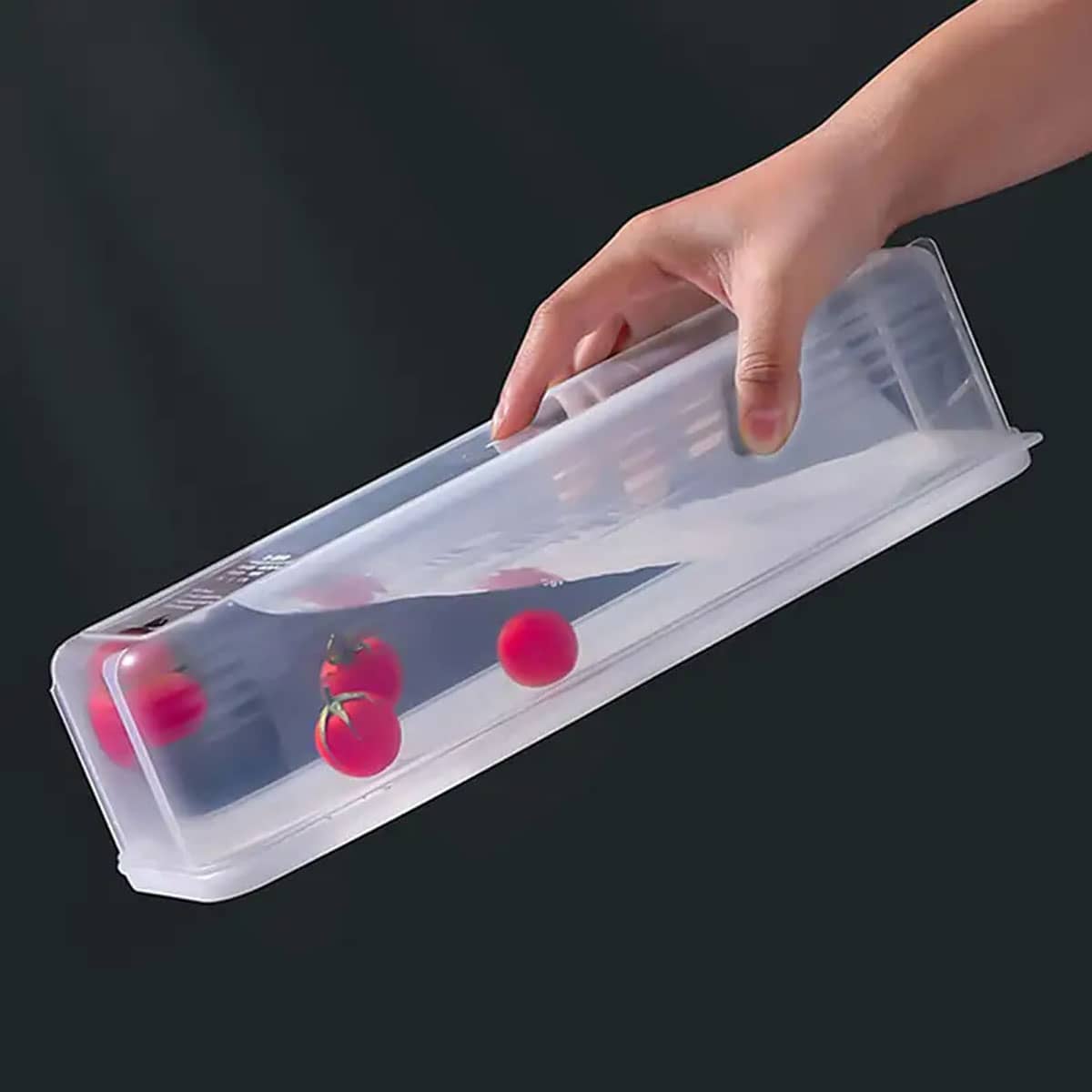 1 Kotak Penyimpanan Plastik Tr - Food Storage Boxes With Lids ulasan dan harga