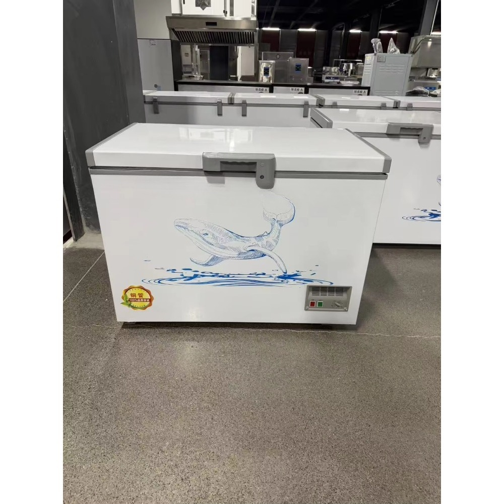 Freezer Horizontal Kustom Gros - Food Storage Frozen ulasan dan harga